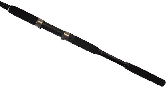 Oceanic Dream Spin Fishing Rod for Spinning 2.70m 10-50gr