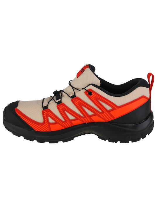 Salomon Xa Pro V8 Mehrfarbig