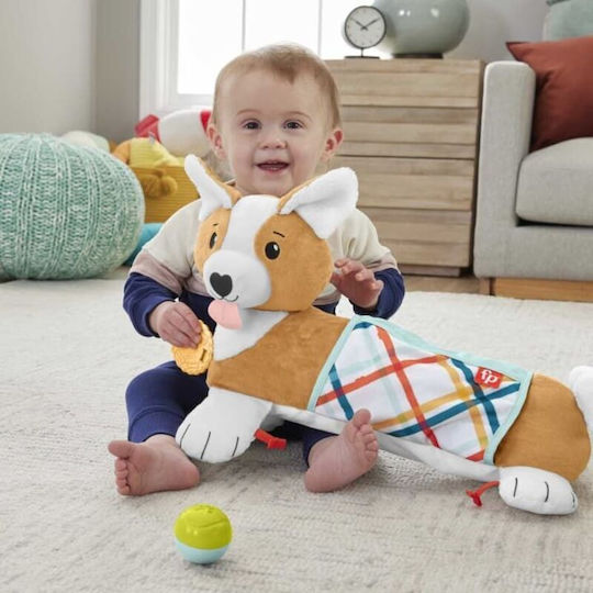 Fisher Price Κύλινδρος Δραστηριοτήτων Σκυλάκι από Ύφασμα με Ήχους για Νεογέννητα