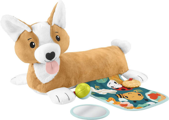 Fisher Price Κύλινδρος Δραστηριοτήτων Σκυλάκι από Ύφασμα με Ήχους για Νεογέννητα