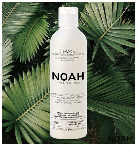 Noah for Beauty Σαμπουάν Αναδόμησης/Θρέψης για Εύθραυστα Μαλλιά 250ml