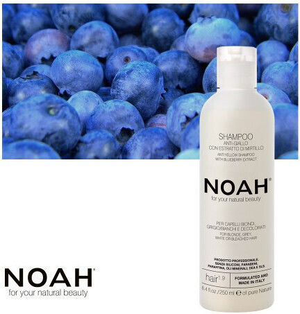 Noah for Beauty 1.9 Anti-Yellow Shampoos für Gefärbt Haare 250ml