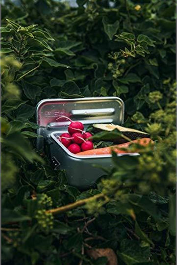 Sigg Кутия За Храна Inox Сребрист С Прегради 900ml