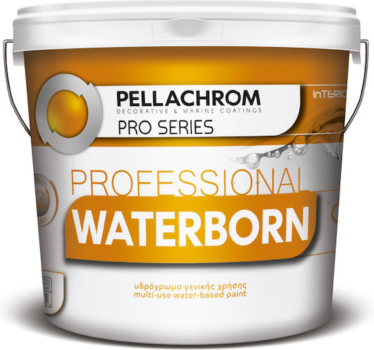 Pellachrom Waterborn Plastic Watercolor Paint for Interior Use White 9lt