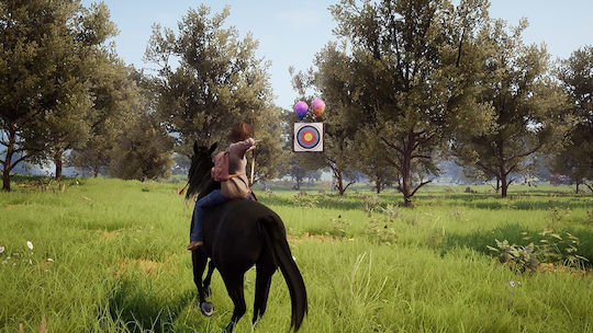 Windstorm An Unexpected Arrival PS4 Game
