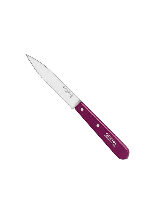 Opinel N° 113 Les Essentiels General Use Knife of Stainless Steel 10cm 001919