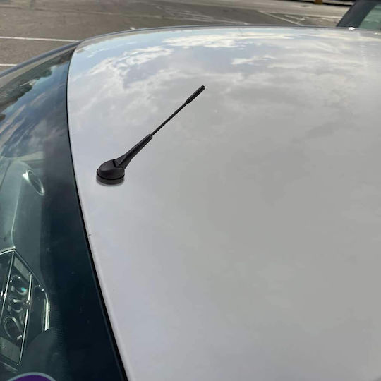 Phonocar KFZ-Antenne Dach Mit Gewinde für Radio