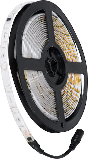 GloboStar Wasserdicht LED-Streifen 12V Rot Licht 5m Typ SMD5050 mit Netzteil