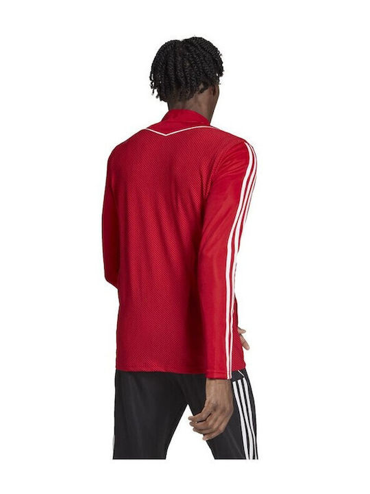 adidas adidas