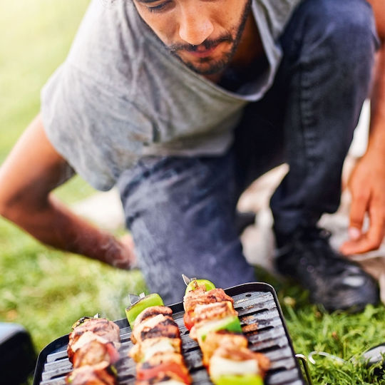Weber Go-Anywhere Φορητή Ψησταριά Υγραερίου Σχάρας 41x26εκ. με 1 Εστία 2.1kW