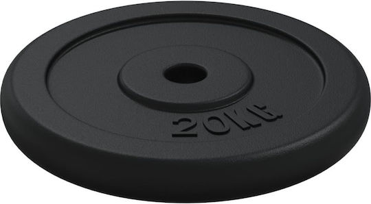 vidaXL Σετ Δίσκοι Μεταλλικοί 2 x 20kg Φ30mm