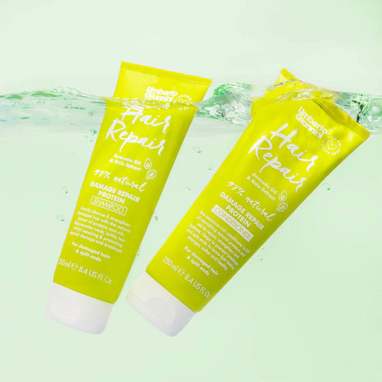 Umberto Giannini Hair Repair Shampoos für Zerbrechlich Haare 250ml