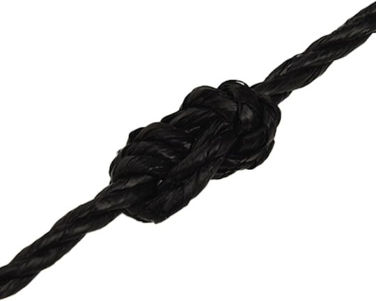 vidaXL Rope Diameter 6mm Length 100m Black Work Rope Black 6mm 100m Polypropylene
