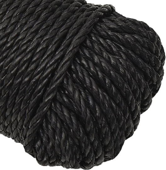vidaXL Rope Diameter 6mm Length 100m Black Work Rope Black 6mm 100m Polypropylene