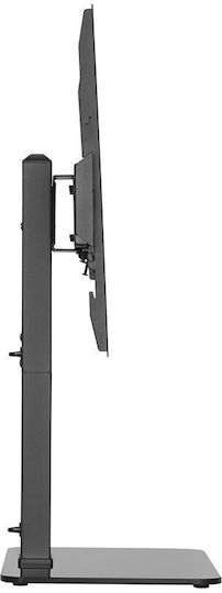 Equip 1TFT Επιτραπέζια Βάση Τηλεόρασης έως 70"