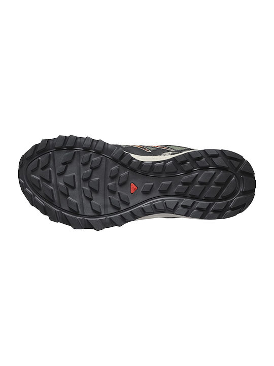 Wander GTX Sport Shoes Trail Running Green Waterproof with Gore-Tex Membrane