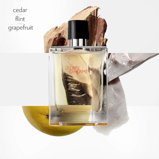 Hermes Terre D' Hermes Eau de Toilette 100ml