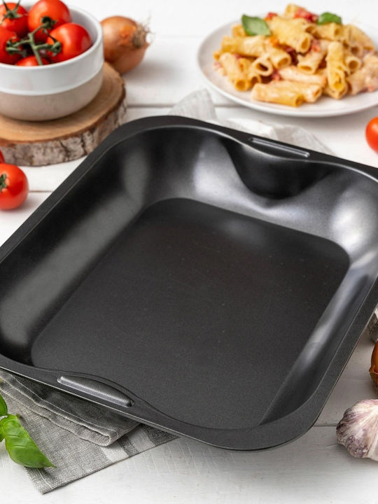 Zenker Baking Pan Non-Stick ILAG Special Special Cooking 33x27cm