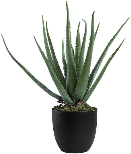 Aloe in a Potted Plant GloboStar Aloe in a Potted Plant GloboStar