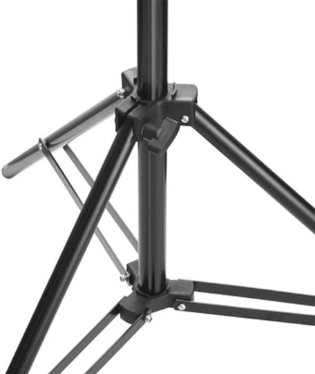 vidaXL Set Lights and Background Lighting Kit for Studio