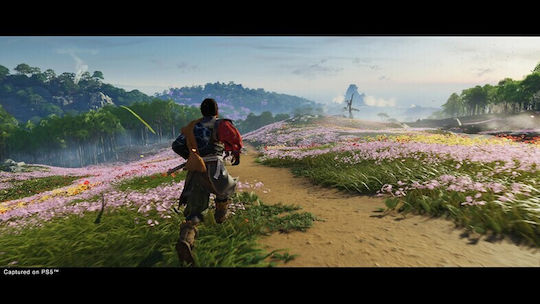 Ghost Of Tsushima PS4 Game