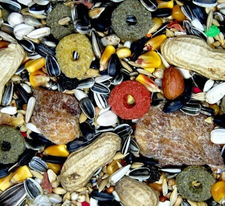Royal Vogelfutter Parrot Mix No34 Birds Food for Big Parrots 15kg