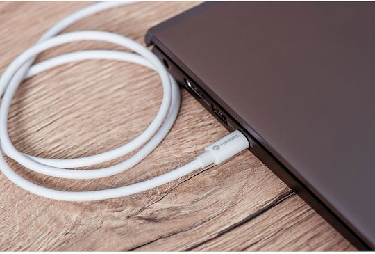 Forcell Regular USB 2.0 Cablu USB-C bărbătesc - USB-C 100W Alb 2m