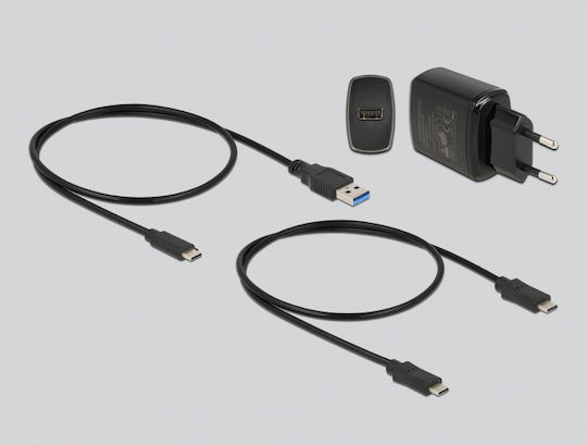 DeLock Docking Station για 2 Σκληρούς Δίσκους SATA M.2(2230)" / M.2(2242)" / M.2(2260)" / M.2(2280)" με σύνδεση USB-C (64178)
