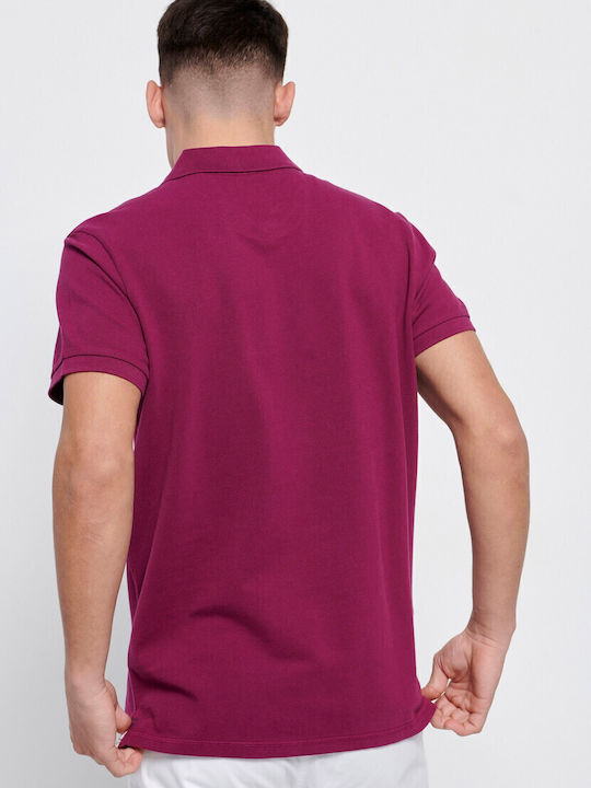 FBM007-00111 Polo Short Sleeve Blouse Magenta Purple