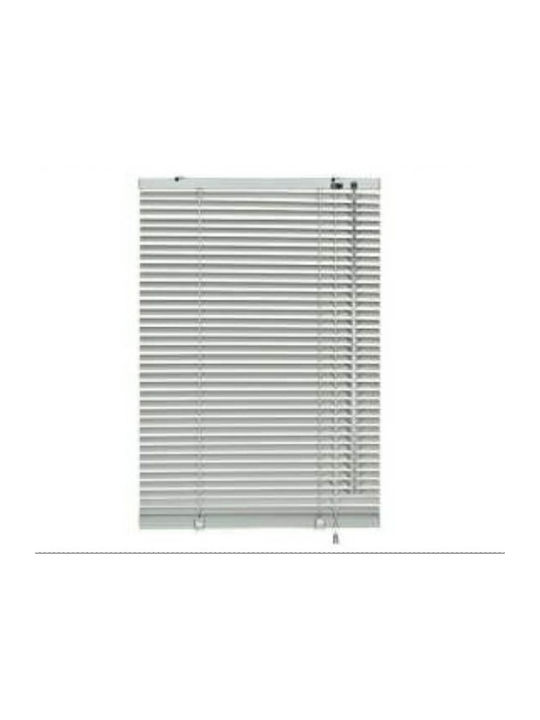 Frans Shade Blind Aluminum Nickel L120xH140cm