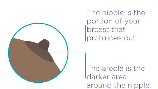 Lansinoh Breast Shield for Breast Pump 21mm