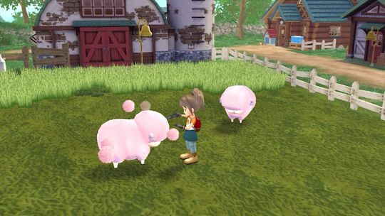 Story Of Seasons: A Wonderful Life Xbox Series X Spiel
