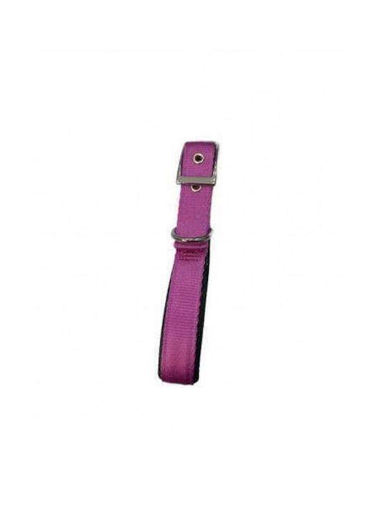 Pet Camelot 4555 Κολάρο Σκύλου σε Γκρι χρώμα 20mm x 50cm