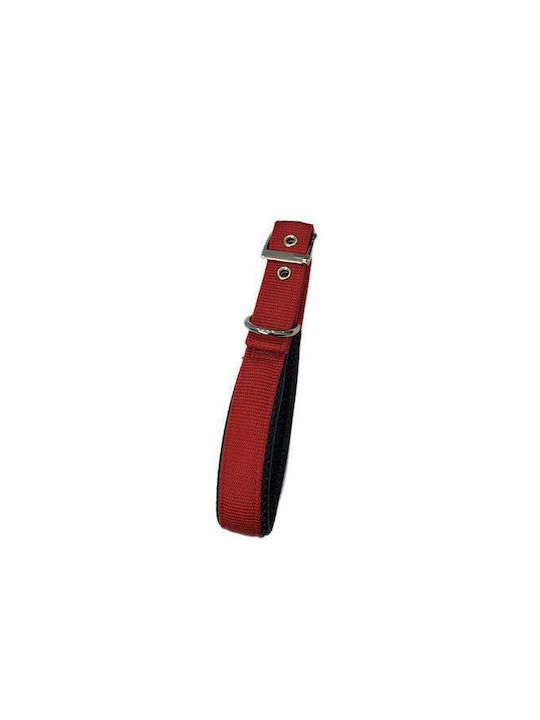 Pet Camelot 4555 Κολάρο Σκύλου σε Γκρι χρώμα 20mm x 50cm