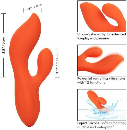 Calexotics Stella Dual Teaser Δονητής Rabbit Orange