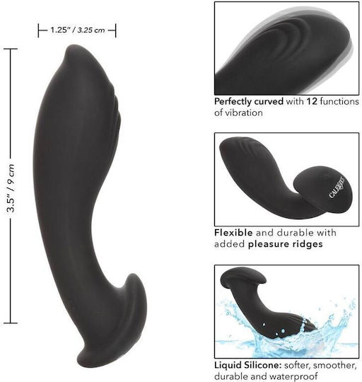 Calexotics Eclipse Vibrator Anal Negru 9cm