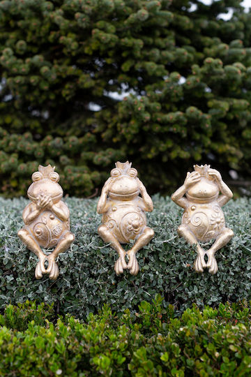 InTheBox Decorative Frog Polyresin Grenouille in Gold 11.2x10x22.6cm 1pcs InTheBox Decorative Frog Polyresin Grenouille in Gold 11.2x10x22.6cm 1pcs