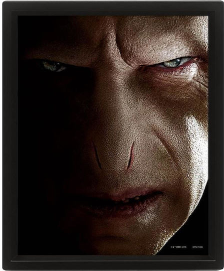 Pyramid International Harry vs Voldemort Frame Plastic 20x26cm
