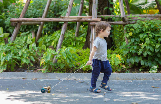 Plan Toys Pull-Along Toy Bunny that Moves made of Wood for 12++ Months