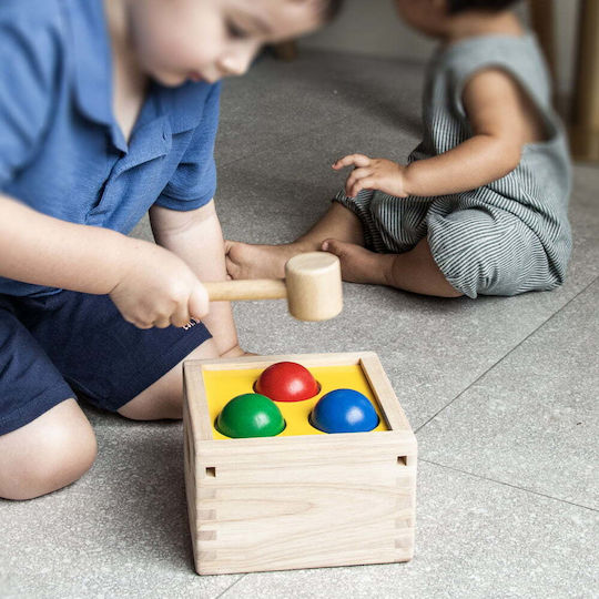 Plan Toys Hammer Toy Box with Balls and Hammer made of Wood for 12++ Months
