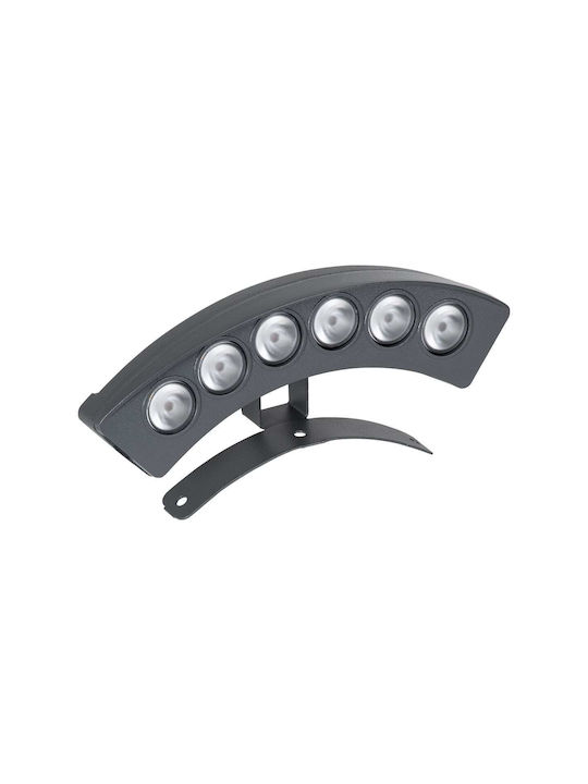 GloboStar Treelight Plante