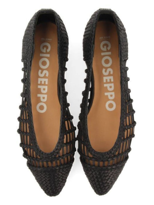 Gioseppo Gioseppo