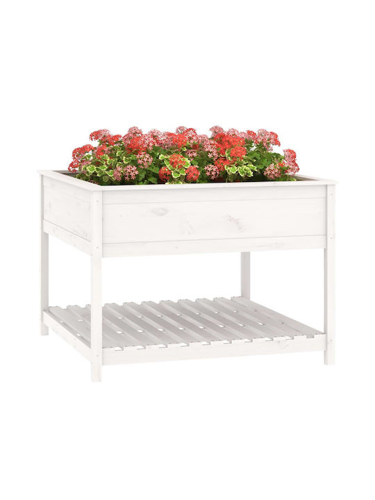 vidaXL Planter Box Lemn Alb 111.5x111.5x81cm.