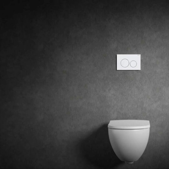 Geberit Delta 20 Flush Plate Dual Flush