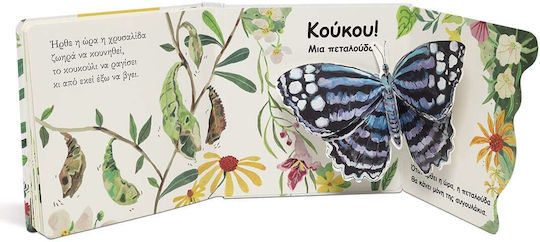 Οι Πεταλούδες, Βρες με!