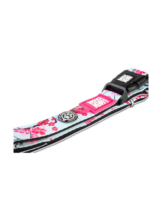 Max & Molly Cherry Bloom Dog Collar in Turquoise color Medium 20mm x 34 - 55cm