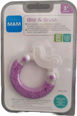 Mam Bite & Brush Beißring für Zahnen aus Plastik für 3 m+ Lila Ring 1Stück