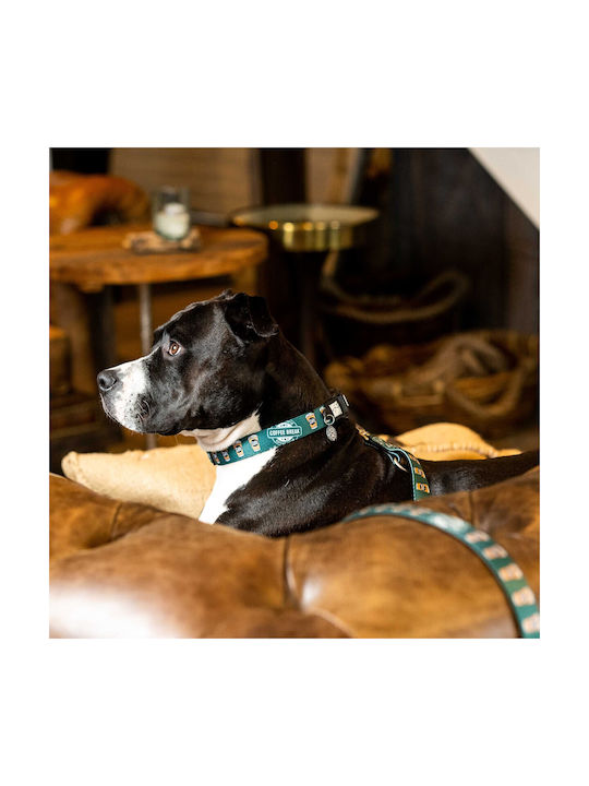 Max & Molly Coffee Break Κολάρο Σκύλου σε Πράσινο χρώμα Large 25mm x 39 - 62cm