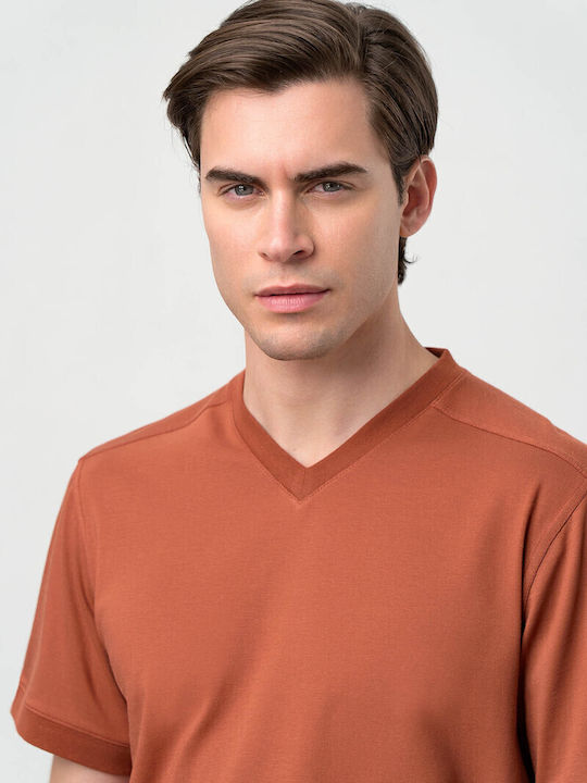 Vamp Braun