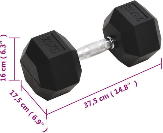 vidaXL Hexagon Dumbbell 1 x 25kg